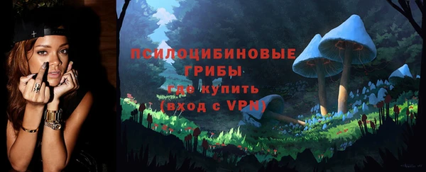 mdpv Горнозаводск