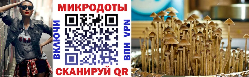 Псилоцибиновые грибы ЛСД  Яровое 